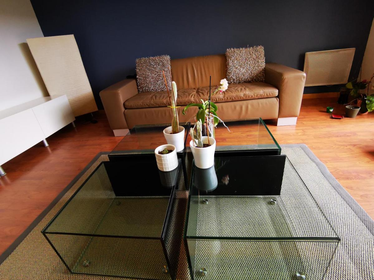 Le Grand Briochin Apartment Saint-Brieuc